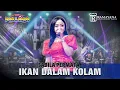 Download Lagu Ikan Dalam Kolam | Sabila Permata \u0026 New Pallapa | Live Lampiss 2023