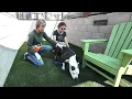Take a Look Inside SLO County s New Animal Shelter
