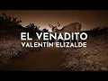 Valentín Elizalde - El Venadito (Visualizer)