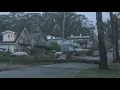Winds topple trees across Peninsula coastal towns