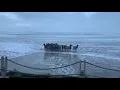 Onlookers Witness Herd of Elk Running Through Surf on Oregon Beach
