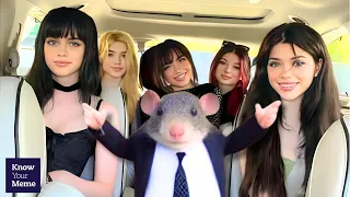 Ur Least Fav Twitter Girls E-Girls In Car Image Becomes Viral Meme