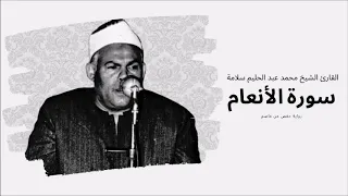سورة الأنعام القارئ الشيخ محمد عبد الحليم سلامة 