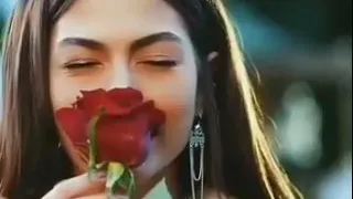 تصميمي سامو زين الورد الاحمر اسيل السعدي حالات واتساب 