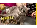 Jules Problem Pregnancy The Incredible Dr Pol