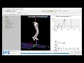 Visual3D Biomechanics Pipeline Stair Gait Analysis Project