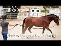 Download Lagu How to Lunge a Horse Safely