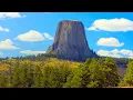 Download Lagu 20 Most Amazing Trees In The World