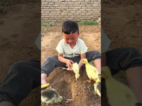 The little one has a lot of sadness in his heart #shorts # #yt