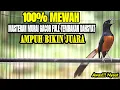 Download Lagu MASTERAN TERBAIK MURAI BATU DI PAGI HARI FUL MATERI MEWAH BIKIN MURAI YANG DENGAR IKUT BONGKAR ISIAN