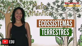 Ecossistemas Terrestres Ep.17