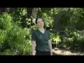3 Free Ways to Make Your Own Soil for Growing Organic Food - Regenerative Gardening & Permaculture