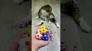 Cat Barsik 🔥 Beads 🌈❤ Satisfying Video Reverse 