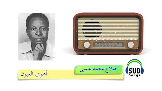 أهوى العيون صلاح محمد عيسى  أهوى العيون صلاح محمد عيسى