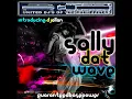 Download Lagu MPLANET - Dj Allan Sally Dat Wave   final version