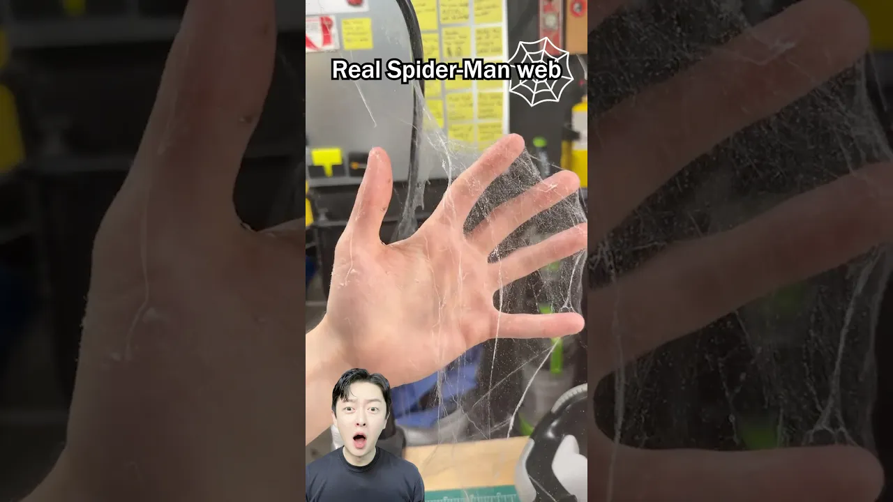 Real Spider-Man web
