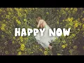 Download Lagu Zedd \u0026 Elley Duhé - Happy Now (Lyrics Video)