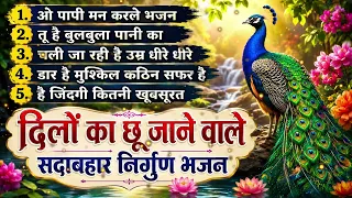 कमजोर दिल वाले ना सुने ये निर्गुण भजन | Nirgun Bhajan | Chetawani Bhajan | Satsangi Bhajan 2026