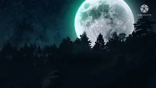 من اذاعة القرآن الكريم تواشيح وابتهالات الشيخ محمد الفيومي وبطانته 