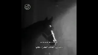 انا وليلى كاظم الساهر 