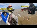 Download Lagu PECAH TONG‼️BERGASAK KETAM BUNGA/RENJONG BERSAIZ BESAR BERTELUR..