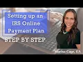 How to setup an IRS payment plan online guided