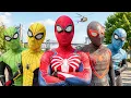 Spider-Man Into The Spider-Verse 2026 Marvel Studios Brand New Day - Avengers