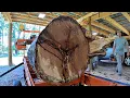 Download Lagu Kwartier gezaagd hout van een REUZEN rode eik