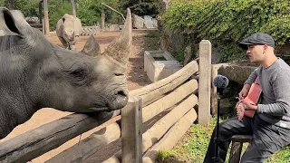 Singing for Animals compilation 🥹❤️‍🩹