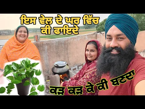 Download MP3 ਇਸ ਵੇਲ ਨੂੰ ਘਰ ਵਿੱਚ ਲਾਉਣ ਨਾਲ ਕੀ ਪੈਸੇ ਆਉਂਦੇ ??@Sukho_bhanji