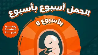 الاسبوع الثامن في الحمل 