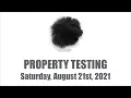 Property Testing