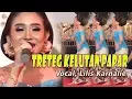Download Lagu Treteg Kelutan Papar Cover Lilis Karnalie by New Sekar Gadung