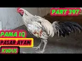 Download Lagu PART 397 🛑 PAMA IQ 👉 PASAR AYAM KUDUS JAWA TENGAH 