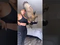 Download Lagu Chelas Way Shows Off Her Trained Owl