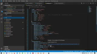 How to use proxy in angular application
