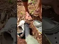 Download Lagu how to get rid of these!🥺🐛 #forefin #forest #leech #friends #shorts #like #unplanned #2022 #trekking