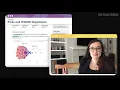 Behind the scenes of The Texas Tribune s new salaries explorer