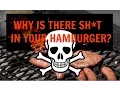 Why Your Hamburger Probably Has Poop In It The Truth About Ground Beef Patties