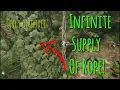 20 Quick Tips Green Hell
