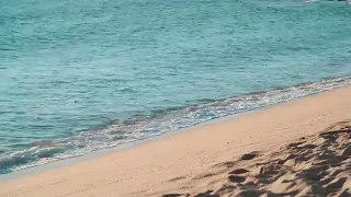 إنسان إنسان أوصيك بتقوى الله 