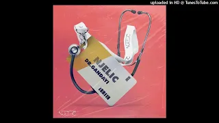 njelic abadeleli ft de mthuda malumnator