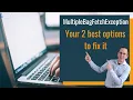 Your 2 best options to fix Hibernate s MultipleBagFetchException
