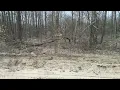 Land for Sale in Crawford County Michigan Off-Grid Camping Hunting RV Friendly