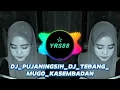 Download Lagu DJ PUJANINGSIH DJ TEBANG MUGO KESEMBADAN VIRAL TIKTOK