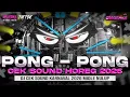 Lagu DJ PONG PONG - CEK SOUND FULL BASS HOREG KARNAVAL MIDDLE NROTOK NULUP - DJ PARTY BASS BLAYER