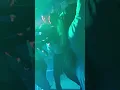 Download Lagu Laila Mai Laila🥰||YouTube Viral Video🥰|#viral#like#youtube#views#public#share#shorts#dance#night#dj