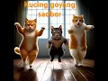 Download Lagu kucing lucu joget sadbor #funny #happy #lucu #lagusadbor