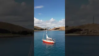 Darwin was a sailor! ⛵️#shorts