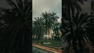 إن مسنا الضر أو ضاقت بنا الحيل لقطات من الساحل السوري 